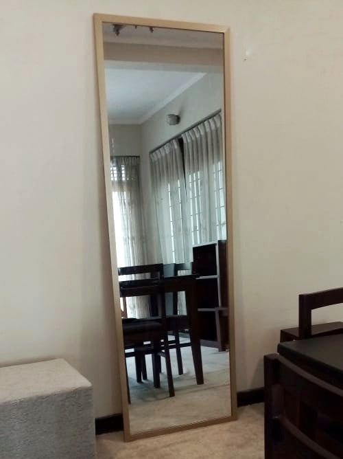 6 x 2 Mirror
